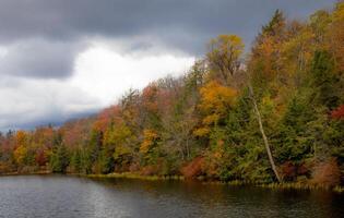 Parc d'État de Ricketts Glen photo