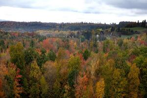 Pennsylvanie tomber couleurs photo