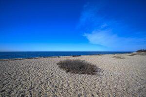 longue île des plages photo