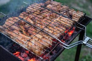 grillé Viande sur le charbons dans le jardin, fermer photo