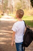 retour vue de une garçon avec sac à dos en marchant sur une chemin dans le parc photo