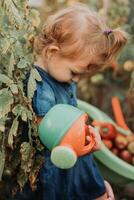 peu fille dans robe, caoutchouc bottes et une paille chapeau est arrosage, irriguer les plantes dans le l'automne jardin photo