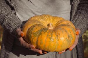 une femme donne une mûr Orange rond citrouille photo