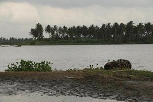 beaufitul paysage à le mono rivière, grandiose popo, Bénin photo