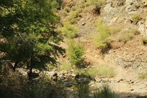 magnifique la nature dans le montagnes de Dalyan, dinde photo