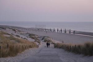 coucher de soleil sur la plage photo