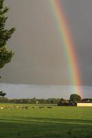 foncé ciel dans paysage avec arc en ciel photo