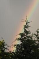 foncé ciel dans paysage avec arc en ciel photo