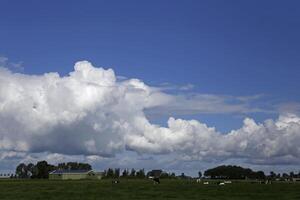 spectaculaire des nuages dans une néerlandais paysage photo