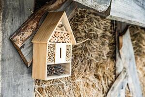 en bois insecte maison décoratif punaise Hôtel photo