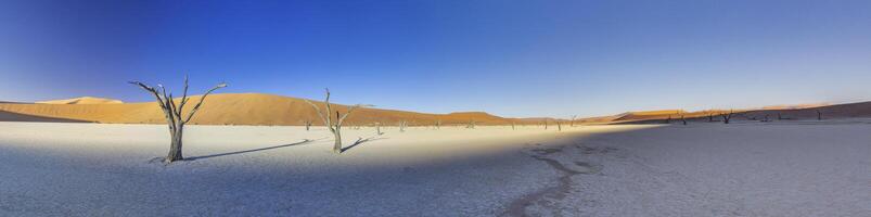 panoramique image de le Deadvlei sel la poêle dans le namib désert avec mort des arbres dans de face de rouge le sable dunes dans le Matin lumière photo