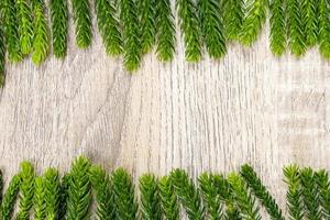 feuille de pin vert sur bois clair pour le fond et la texture. il utilise pour la décoration pour la publicité en ligne et le concept de joyeux noël. photo
