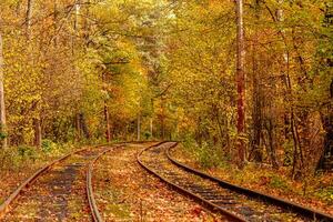 l'automne forêt par lequel un vieux tram monte Ukraine photo