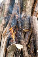 magnifique Feu flammes sur une feu de camp photo