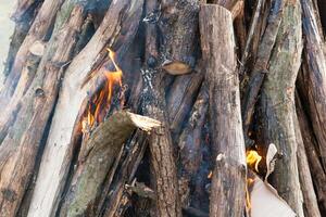 magnifique Feu flammes sur une feu de camp photo