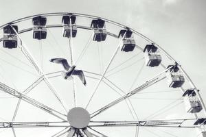 oiseau et grande roue photo