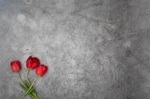 rouge tulipes sur gris ciment Contexte minimalisme Haut voir, Pâques décor, printemps photo