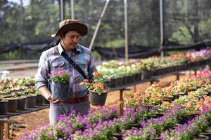 Jeune asiatique jardinier est choisir floraison plante de le local jardin centre garderie plein de été plante pour fin de semaine jardinage et Extérieur loisir photo