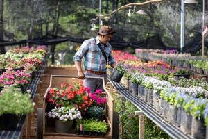 Jeune asiatique jardinier est choisir floraison plante de le local jardin centre garderie avec achats Chariot plein de été plante pour fin de semaine jardinage et Extérieur concept photo