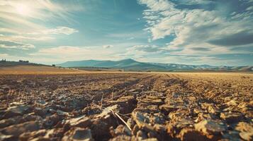 fissuré boue sur les terres agricoles dans central Espagne photo