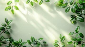 lumière du soleil brille sur vert feuilles contre une blanc mur photo