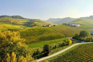 vue aérienne des vignobles de la région vallonnée des langhe, piémont, italie du nord, saison d'automne. site de l'unesco depuis 2014.