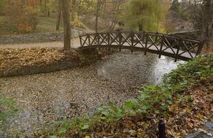 magnifique la nature l'automne paysage avec petit pont. paysage vue sur l'automne ville parc avec d'or Jaune feuillage dans nuageux journée photo