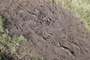 pied marque sur le jungle piste. chaussure impressions sur humide gravier ou boue dans Montagne zone photo