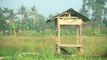 une petit cabane dans le milieu de riz des champs cette Les agriculteurs d'habitude utilisation à du repos de le Soleil photo