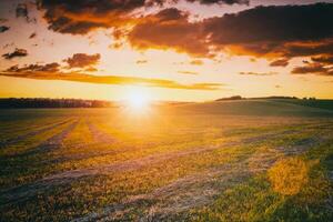 le coucher du soleil à cultivé terre dans le campagne sur une été soir avec nuageux ciel Contexte. ancien film esthétique. photo