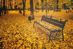 d'or l'automne dans une ville parc avec des arbres et déchue feuilles sur une nuageux journée. ancien film esthétique. photo