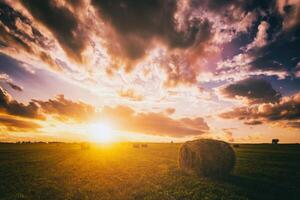 le coucher du soleil dans une champ avec meules de foin sur une été ou de bonne heure l'automne soir avec une nuageux ciel dans le Contexte. approvisionnement de animal alimentation dans agriculture. ancien film esthétique. photo