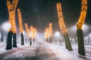 hiver parc à nuit avec Noël décorations, embrasé lanternes et des arbres couvert avec neige. ancien film esthétique. photo