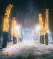 hiver parc à nuit avec Noël décorations, embrasé lanternes et des arbres couvert avec neige. ancien film esthétique. photo