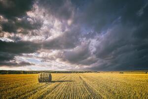 une champ de une meules de foin sur un l'automne jour, illuminé par lumière du soleil, avec pluie des nuages dans le ciel. ancien film esthétique. photo