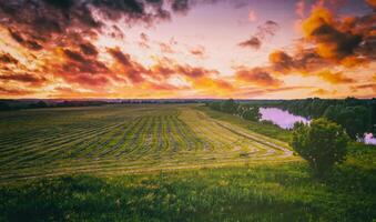 le coucher du soleil à cultivé terre dans le campagne sur une été soir avec nuageux ciel Contexte. ancien film esthétique. photo