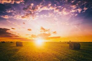 le coucher du soleil dans une champ avec meules de foin sur une été ou de bonne heure l'automne soir avec une nuageux ciel dans le Contexte. approvisionnement de animal alimentation dans agriculture. ancien film esthétique. photo