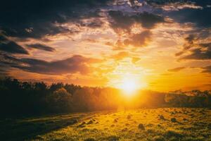 le coucher du soleil ou lever du soleil dans une printemps champ avec vert herbe, saule des arbres et nuageux ciel. ancien film esthétique. photo