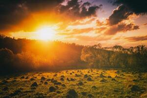 le coucher du soleil ou lever du soleil dans une printemps champ avec vert herbe, saule des arbres et nuageux ciel. ancien film esthétique. photo