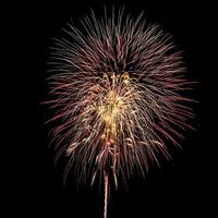 coloré fête feux d'artifice isolé sur une noir ciel Contexte. photo