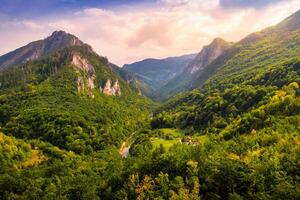 haute montagnes de tara rivière canyon à le coucher du soleil avec nuageux ciel. photo