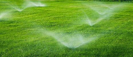 automatique pelouse arrosage système arrosage le Jeune vert pelouse herbe dans le parc. photo