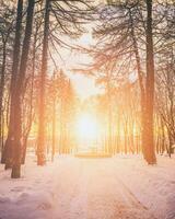 le coucher du soleil ou Aube dans une hiver ville parc avec des arbres, bancs et trottoirs couvert avec neige et glace. ancien film esthétique. photo