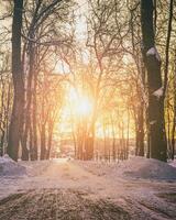 le coucher du soleil ou Aube dans une hiver ville parc avec des arbres, bancs et trottoirs couvert avec neige et glace. ancien film esthétique. photo