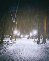 hiver nuit parc avec des arbres, embrasé lanternes et bancs couvert avec neige. ancien film esthétique. photo