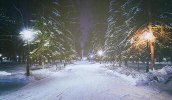 hiver nuit parc avec des arbres, embrasé lanternes et bancs couvert avec neige. ancien film esthétique. photo