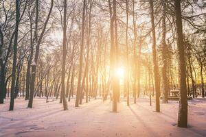 le coucher du soleil ou Aube dans une hiver ville parc avec des arbres, bancs et trottoirs couvert avec neige et glace. ancien film esthétique. photo