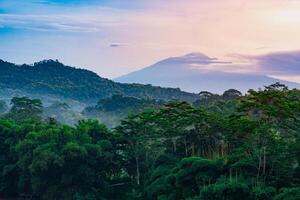 paysage de montagne photo