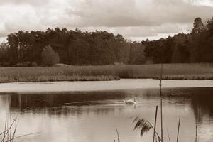 la nature Contexte photo