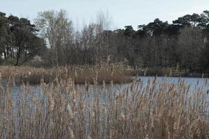 la nature Contexte photo